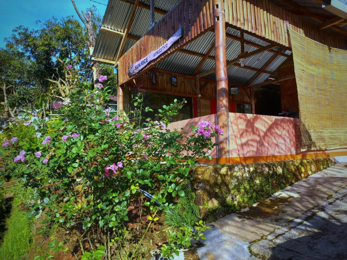 Sun Rice Homestay Ruteng Buitenkant foto