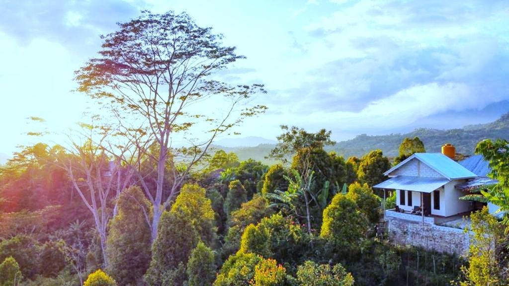 Sun Rice Homestay Ruteng Buitenkant foto