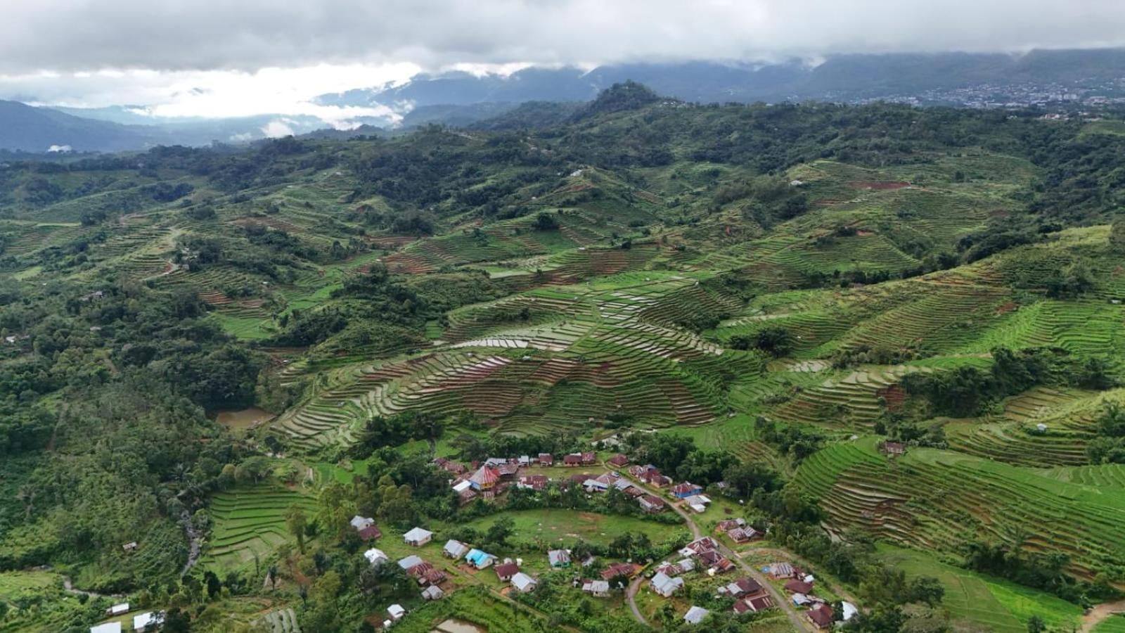 Sun Rice Homestay Ruteng Buitenkant foto