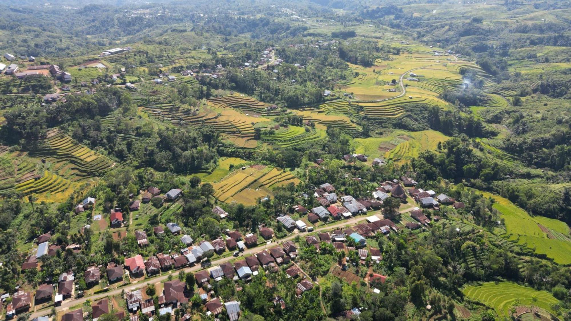 Sun Rice Homestay Ruteng Buitenkant foto