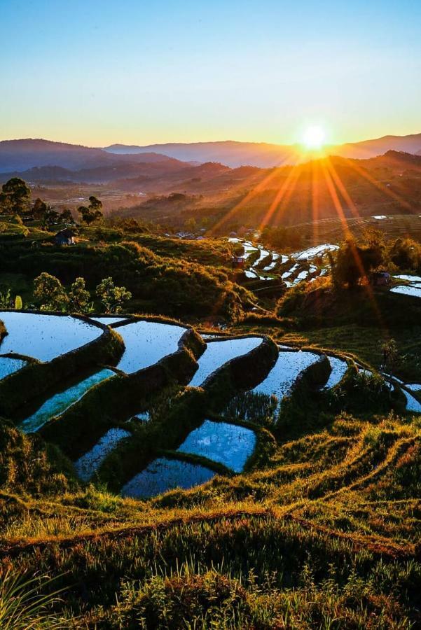 Sun Rice Homestay Ruteng Buitenkant foto